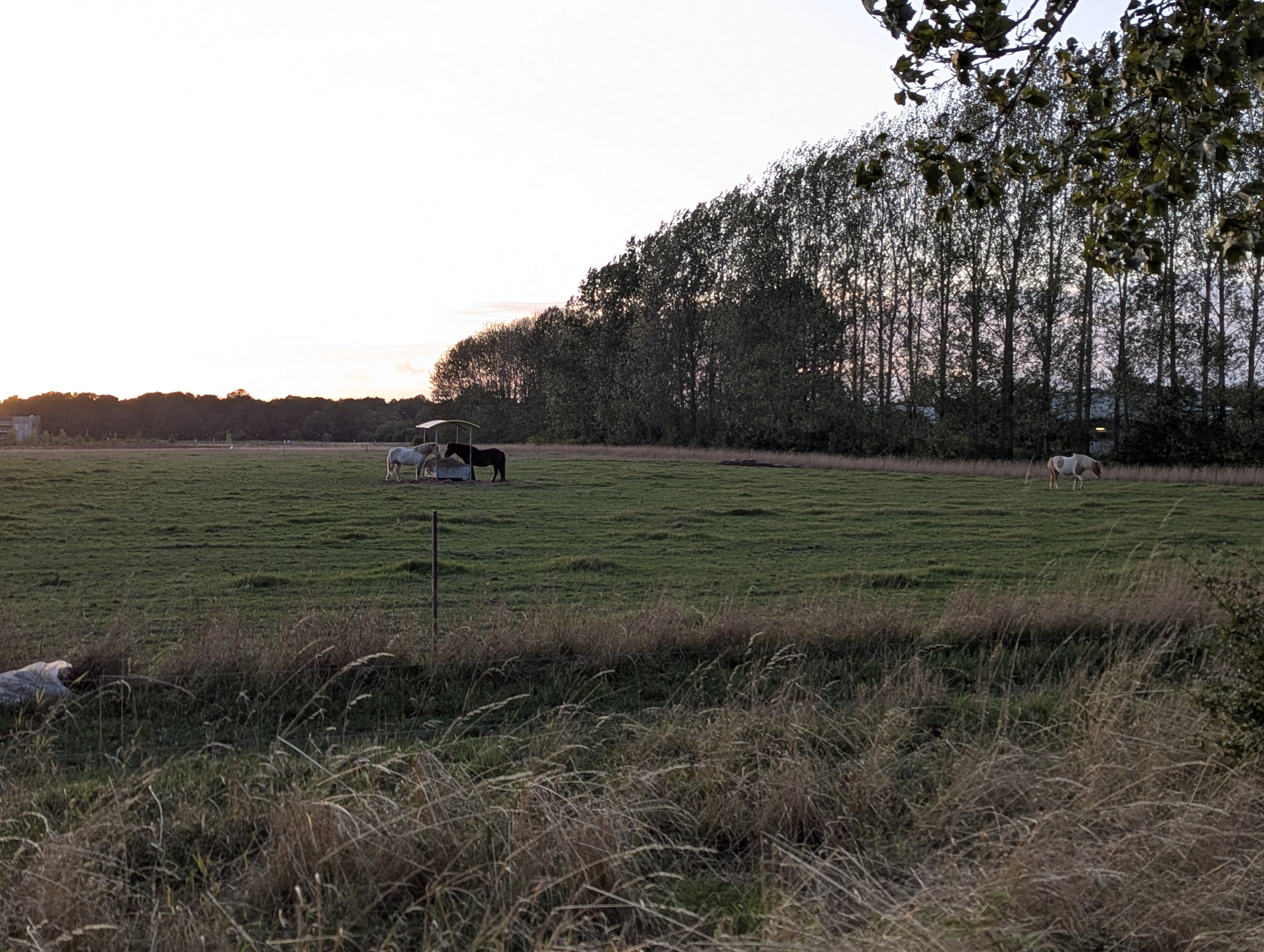 Lyngby,DTU, SSPC, Truls Norby, Denmark